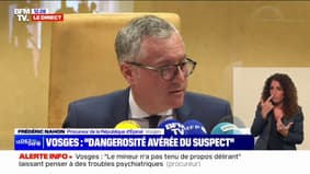 Jeune fille tuée dans les Vosges : le suspect de 15 ans risque jusqu'à 20 ans de prison, selon le procureur