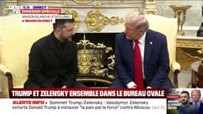 Sommet avec Donald Trump: Volodymyr Zelensky salue les "efforts" du président américain pour mettre fin à la guerre en Ukraine