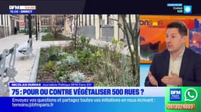 Les Parisiens appelés à voter au sujet de la végétalisation de 500 rues