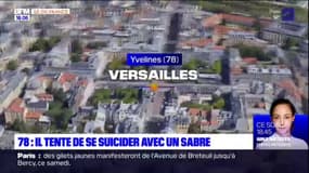 Versailles: un homme tente de se suicider avec un sabre 