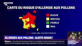 Plus de la moitié de la France classée rouge sur la carte du risque d'allergie aux pollens