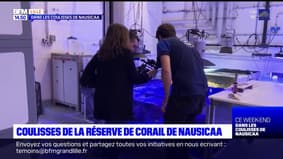 Découvrez les coulisses du chantier des nouveaux bassins de Nausicaa, le plus grand aquarium d'Europe