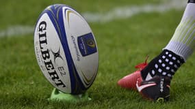 Provale est le syndicat des joueurs de rugby 