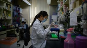 Un vaccin expérimental chinois efficace sur des singes