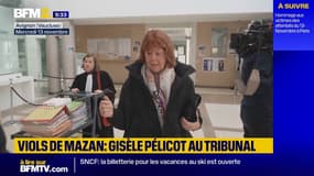 Procès des viols de Mazan: Gisèle Pélicot arrive au tribunal pour la dixième semaine d'audience