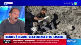 Il découvre deux squelettes d'ichtyosaures dans la Vallée du Jabron