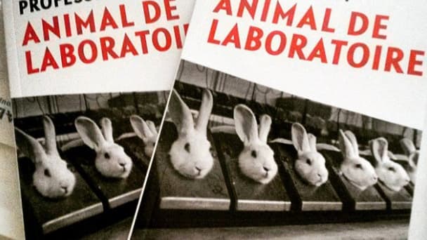 Profession:animal de laboratoire