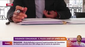 Stéphane Plaza jugé ce mercredi au tribunal correctionnel