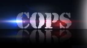 Le logo de la série Cops