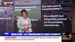 LES ÉCLAIREURS - Les conséquences du traité UE-Mercosur dans nos assiettes