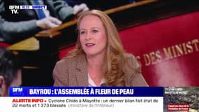 Violette Spillebout (EPR): "Sur le fond, je ne suis pas favorable au retour du cumul des mandats"