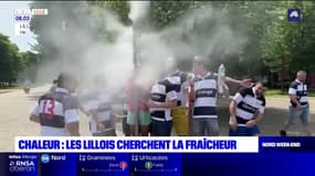 Chaleur: les Lillois ont cherché de la fraîcheur, samedi