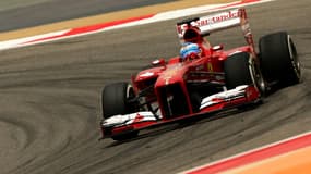 Fernando Alonso