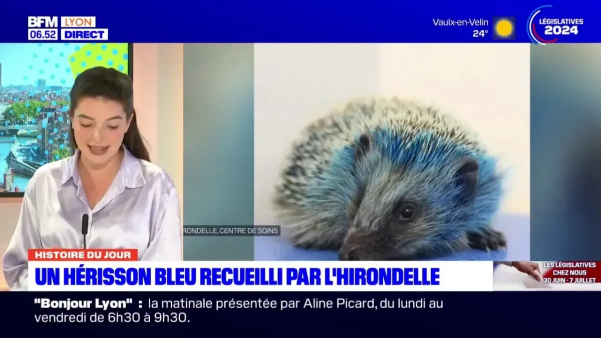 placeholder video