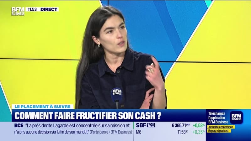 Le placement à suivre : Comment faire fructuer son cash ? - 18/02