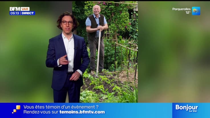 Un peu de cinéma, du jardinage et de la bonne humeur - La météo de Colas du mardi 27 janvier 2026