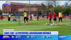 Ligue des champions: le Losc jouera son troisième tour préliminaire face à Fenerbahçe ou Lugano
