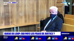 Affaire de la queue de loup: les associations de défense des animaux regrettent que les contribuables doivent payer les frais de justice