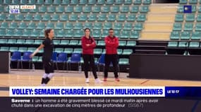 Volley: semaine chargée pour les Mulhousiennes 