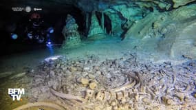 Rite du dieu cacao, os d’animaux antiques… que trouve-t-on dans l’immense grotte maya au Mexique?