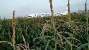 L'Airbus A321 s'est posé dans un champ de maïs.