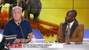 Les GG veulent savoir : Disparition des espèces animales, peut-on inverser la tendance ? - 30/10