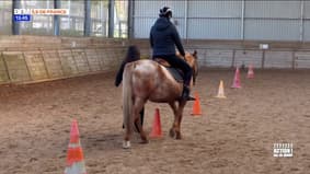 Action ! : Val-de-Marne, autisme la grande cause