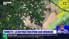 Hautes-Alpes: des associations dénoncent la destruction d'une haie à Romette