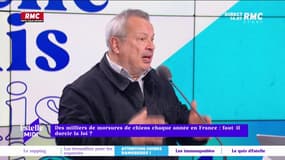 Des milliers de morsures de chiens chaque année en France : faut-il punir les propriétaires ?