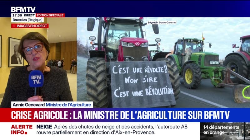 Marschall Truchot : Crise agricole, la ministre de l'Agriculture sur BFMTV - 07/01