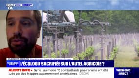 Pause du plan Écophyto: "Une très mauvaise nouvelle, tant pour la société que pour les agriculteurs", estime Florent Sebban (porte-parole de l'Association pour le maintien d'une agriculture paysanne) 