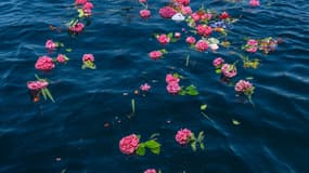 Chaque année, la dispersion des cendres en mer est en augmentation d'environ 10% à 15%.