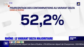 Le variant Delta est devenu majoritaire dans le Rhône 