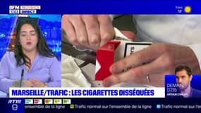 Marseille: les cigarettes de contrebandes disséquées par des scientifiques pour lutter contre le trafic