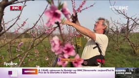 Retour des températures négatives : les agriculteurs s'inquiètent