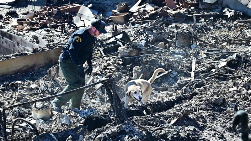 Incendies en Californie: un pilleur déguisé en pompier arrêté à Los Angeles