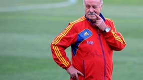 Vicente Del Bosque