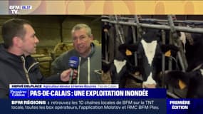 "Notre exploitation est complètement entourée d'eau": cet éleveur de bovins du Pas-de-Calais tente de s'adapter après les inondations