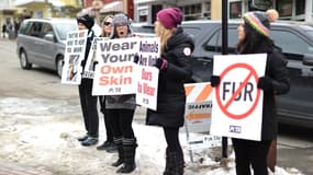 Une protestation devant un magasin Canada Goose aux Etats-Unis