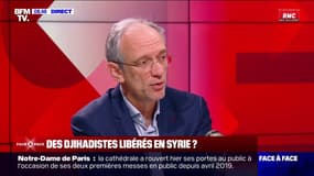 Jihadistes français en Syrie: "Il peut y en avoir encore quelques dizaines", estime le géopolitologue Frédéric Encel