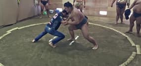 F1 – Ricciardo défie un sumo