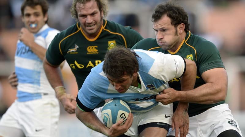 Les frères Du Plessis (ici au plaquage contre l'Argentine), superstars des Spingboks, font partie de la dizaine de joueurs Sud-Africains recrutés par le club de rugby de Montpellier cette saison.