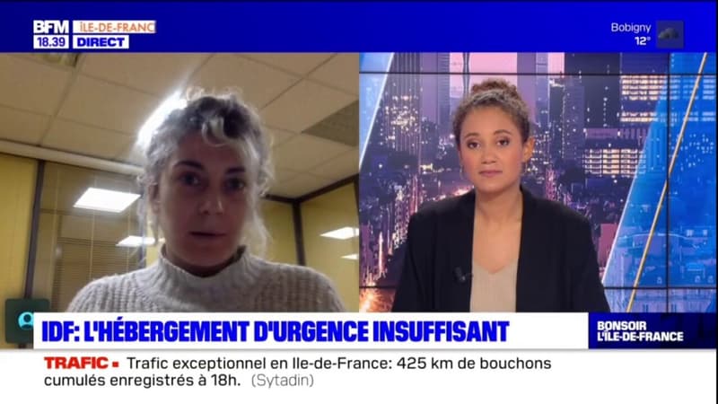 Hébergement d'urgence en Île-de-France: des associations d'aide aux migrants déboutées