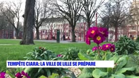 Tempête Ciara: la ville de Lille se prépare