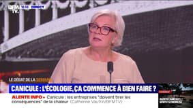 Canicule: "L'un des enjeux majeurs, c'est la désartificialisation", déclare Catherine Vautrin à propos du réchauffement climatique