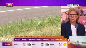 1 Français sur 5 jette toujours des déchets par la fenêtre de sa voiture: "Ce chiffre a tendance à baisser d'année en année", déclare Bernadette Moreau, de Vinci Autoroutes