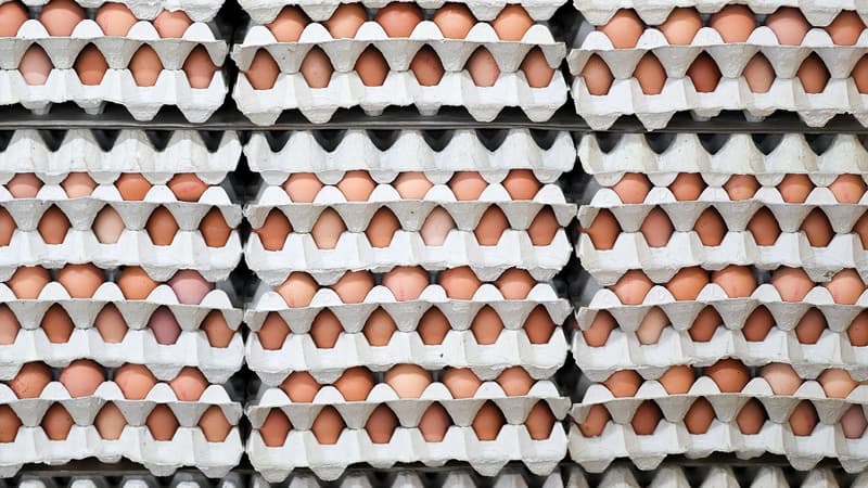 Les Norvégiens ont reçu.... 15000 oeufs