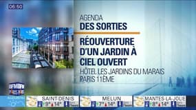 Sortir à Paris: Calypso Rose en concert le 12 mai à l'Olympia
