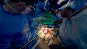 L'opération au cours de laquelle le rein d'un porc a été transplanté sur un homme, le 14 juillet 2023 à New York (États-Unis).
