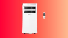 Quel est ce prix intéressant proposé par ce marchand sur ce climatiseur ?